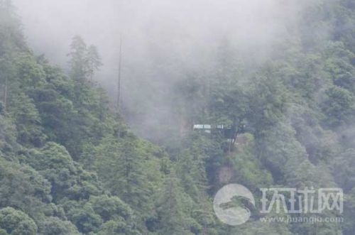 ��ӡ߅����ӡ܊���վ���[��ԭʼɭ���