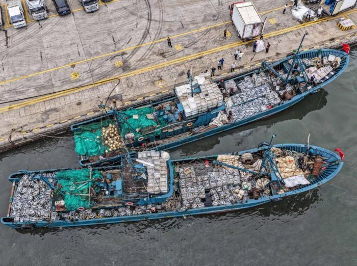 山東榮成：秋捕歸來魚滿艙