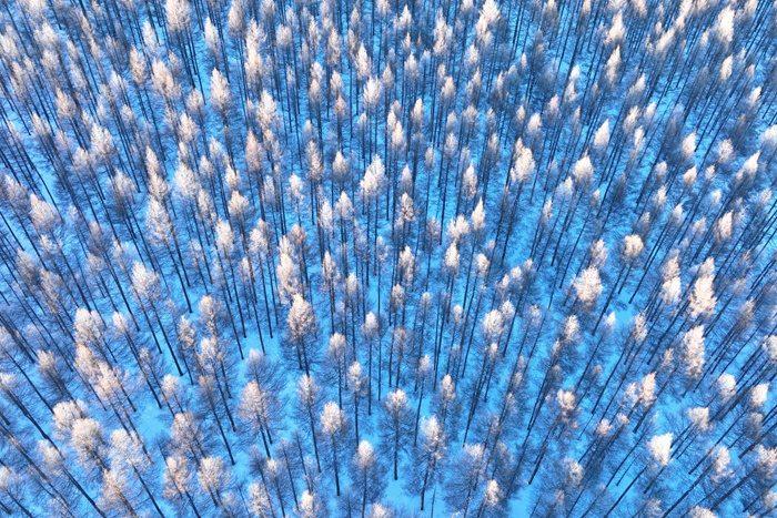 內蒙古呼倫貝爾：山林霧凇銀裝素裹如仙境