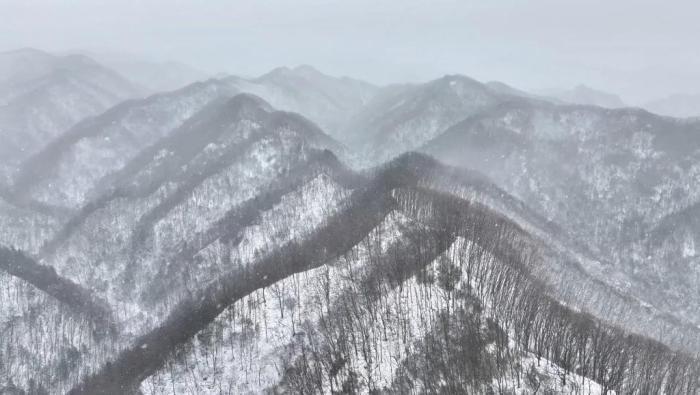 秦嶺迎春雪 銀裝素裹宛如水墨畫