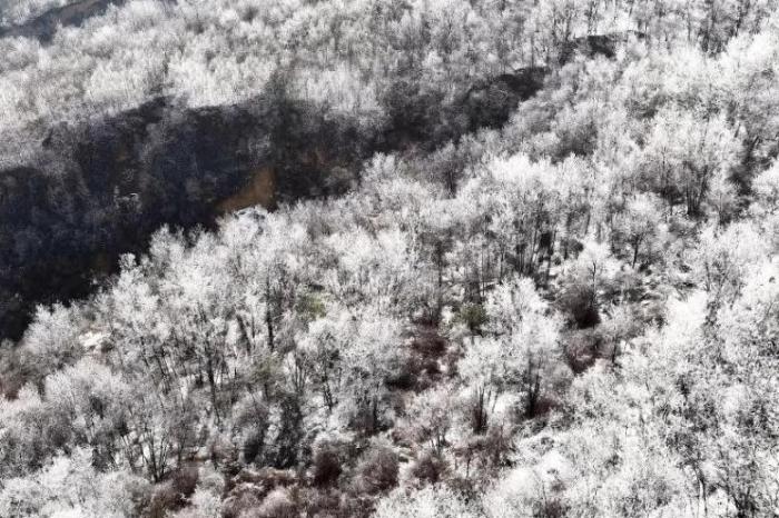 黃土高原雪后現霧凇景觀 美不勝收