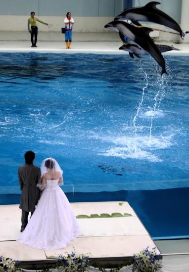 �M�D��һ���׺��������˳䮔���ɰ���