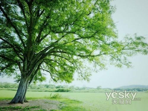 ���ص�s܊�F ���������ThinkPad T400s