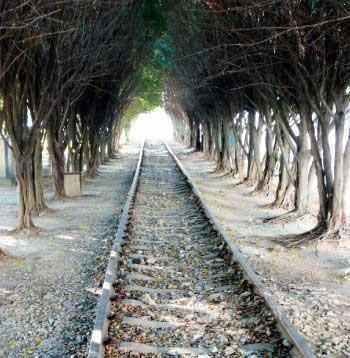 ����������F���ıM�^