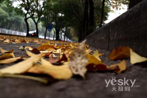 ���ܔ�(sh��)�a���C(j��)�Ј�(ch��ng) ���M(f��i)���P(gu��n)ע��ǰʮ��C(j��)