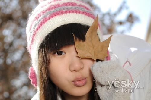 ʮһ���Ό��I֮�x �Ј����T�η����C���]