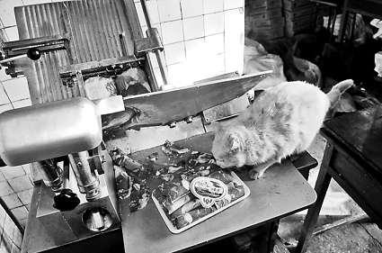 �и�õ���Ƭ�������ϵİ�ɫ�����؈���f����������Ƭ��ؓ(f��)؟(z��)�и���Ƭ��Ů�Ӵ󲿷֕r��ҕ����Ҋ ���M�DƬ ����ӛ�� ���� �z