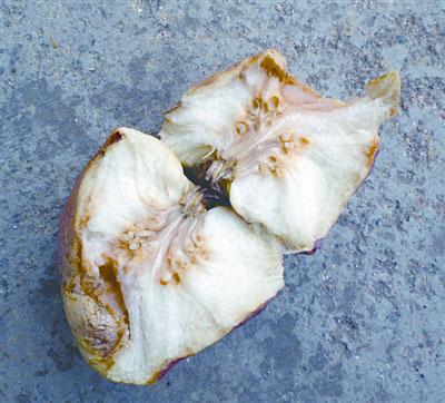 �������O�� ��������ĭ