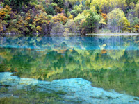 <strong>��կ��</strong>