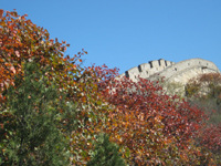 <strong>���_�X�t�~</strong>