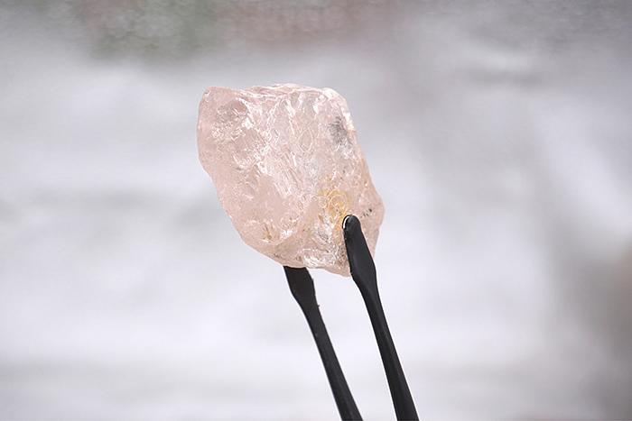 最大粉鉆長啥樣？