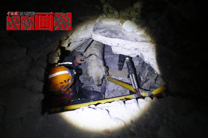 汪汪隊立大功！廢墟中尋找生命之光的搜救犬