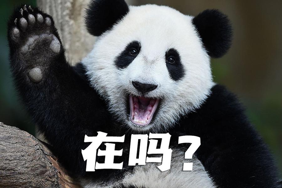 【世界微笑日特刊】嘿嘿，今天你笑了嗎？