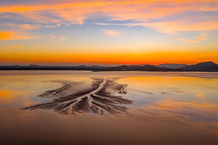 絢麗朝霞映照錢(qián)塘江“潮汐樹(shù)”